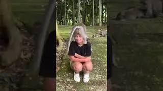 Полина, их много? )))
