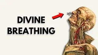 Once YOU BREATHE Like This TRANSITION HAPPENS INSTANTLY