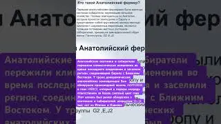 Кто такой Анатолийский фермер ? 