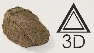 Brazil Nut 3D Model