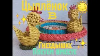 Цыпленок в гнездышке. Chicken in the nest.