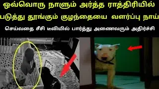 ஒவ்வொரு நாளும் அர்த்த ராத்திரியில் படுத்து தூங்கும் குழந்தையை வளர்ப்பு நாய் செய்த காரியம்