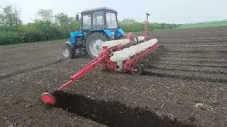 Старт посіву соняшника 2024. Висіваємо ЕС САКСОН