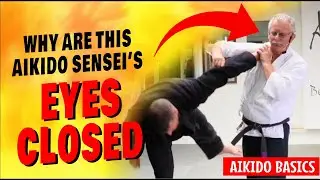 Why Are This Aikido Sensei's Eyes CLOSED?