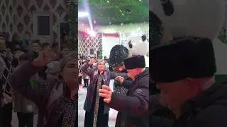 Туй Конибодом 2024