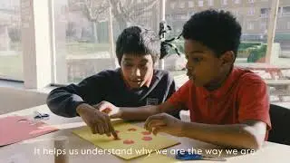 Introducing Dreamachine Schools