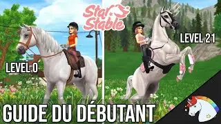 BIEN DÉBUTER STAR STABLE ONLINE !