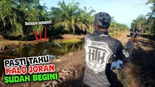MOMEN TAHUNAN DI BULAN APRIL !! TEMPAT IKAN SELALU PENUH // CASTING IKAN GABUS