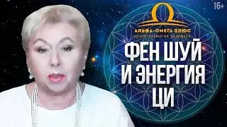 Фен шуй денег и любви. Как получить Баланс в жизни, материальное благополучие и успех в делах? 16+