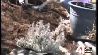 Tips from Toby: How to mulch