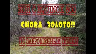 И снова ЗОЛОТО!!По заброшенным полям. EQUINOX 800! Часть 2.