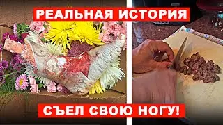 МЕКСИКАНЕЦ СЪЕЛ СВОЮ НОГУ! СТРАШНАЯ НЕВЫДУМАННАЯ ИСТОРИЯ НА НОЧЬ | КРИППИ