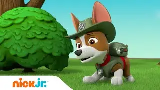 PAW Patrol | Bürgermeister Humdinger verwandelt sich in ein BABY! | Nick Jr. Deutschland