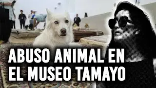 ABUSO ANIMAL EN EL MUSEO TAMAYO