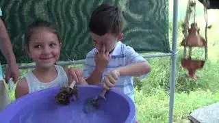Rzanovo sv. Nedela 2015 god