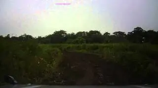 С Нарвы