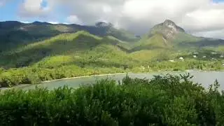 птица высокого полёта