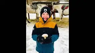 Прогулка на лошади и обучающий урок верховой езды