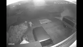 The Letter Box Burglar