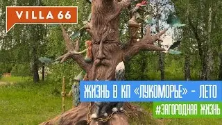 Жизнь в коттеджном поселке Лукоморье - лето 2016