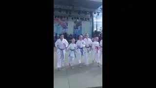 Электросталь. День города 2016. Клуб каратэ "Сатурн".