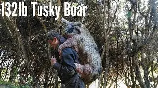 Big Gnarly Boar | Pig Hunting in New Zealand