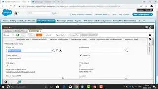 How to Use the Salesforce Developer Console to Run Queries and Collect Log Files