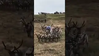 🤔 Традиционный быт коми-зырян