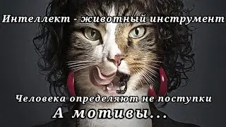 Интеллект - не значит ЧЕЛОВЕЧНОСТЬ | ВОЗРОЖДЕНИЕ ЧЕЛОВЕЧЕСТВА ч.3