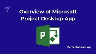 Overview of Microsoft Project Desktop App 101