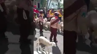 Lagi asik gerak jalan eee ada yang ikut baris juga dari belakang sunggu terlalu