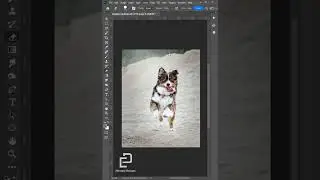 Fastest Remove Background In Photoshop