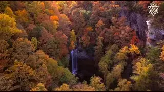 YAGMIN MUSIC - The Forest ( Cinematic video)