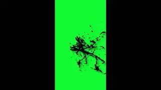 Bullet Overlay | Green screen