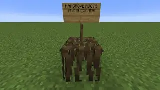 Mangrove Roots NEW Feature