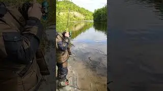 Лучшая форель The best trout