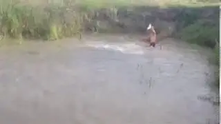 for a fisherman
