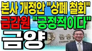 [금양 주가전망] 본사 개정안 
