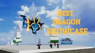 Best Dragon Showcase[Blox Fruits]