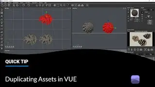 Duplicating Assets in VUE