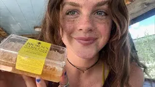 ASMR Eating Honeycomb and Chitchatting | LIVESTREAM
