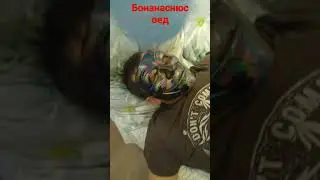 30 ноября 2021 г.