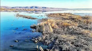 ОТКРЫТИЕ ОХОТЫ НА СЕЛЕЗНЯ В СИБИРИ ,УЕХАЛИ С ПАПОЙ НА БОЛОТО