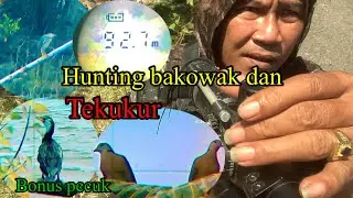 Hunting burung bakowak dan tekukur bonus Pecuk dan ruak ruak