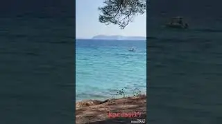 ΤΟ ΣΚΑΚΙ~ΓΕΡΑΣΙΜΟΣ ΑΝΔΡΕΑΤΟΣ