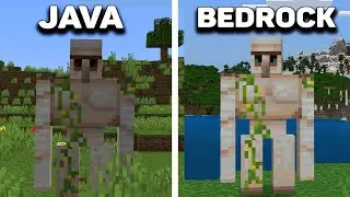 Java Vs Bedrock