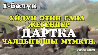 #1 Уйдун этин гана жегендер дартка чалдыгышы мүмкүн. 1-бөлүк.