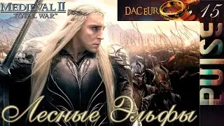 Total War : DaC V5 (EUR) Epic Unity Rework - Лесные Эльфы#15 Финал