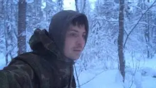 Зимой в лесу ищу ёлочку