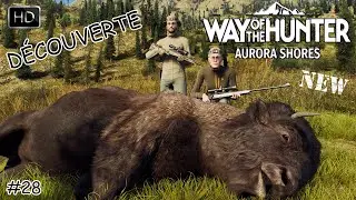 WAY OF THE HUNTER AURORA SHORES GAMEPLAY #28 DÉCOUVERTE DE LA NOUVELLE MAP ! JEU DE CHASSE 2023